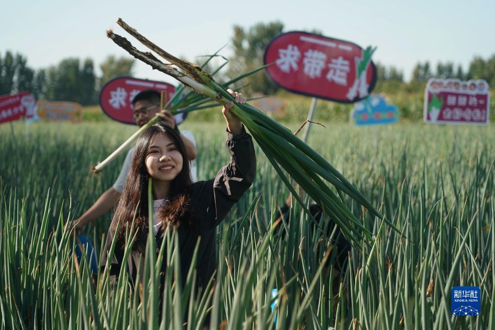 斗牛纸牌游戏